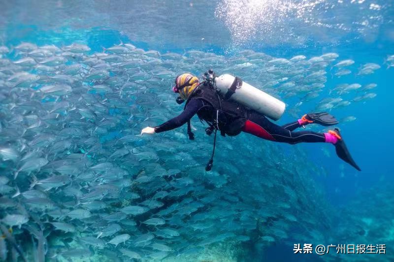 鎵撻鐨勫幓閲嶅簡寰掓涓夊场涔嬪穮,鎵撻鐨勫幓鐪嬫捣