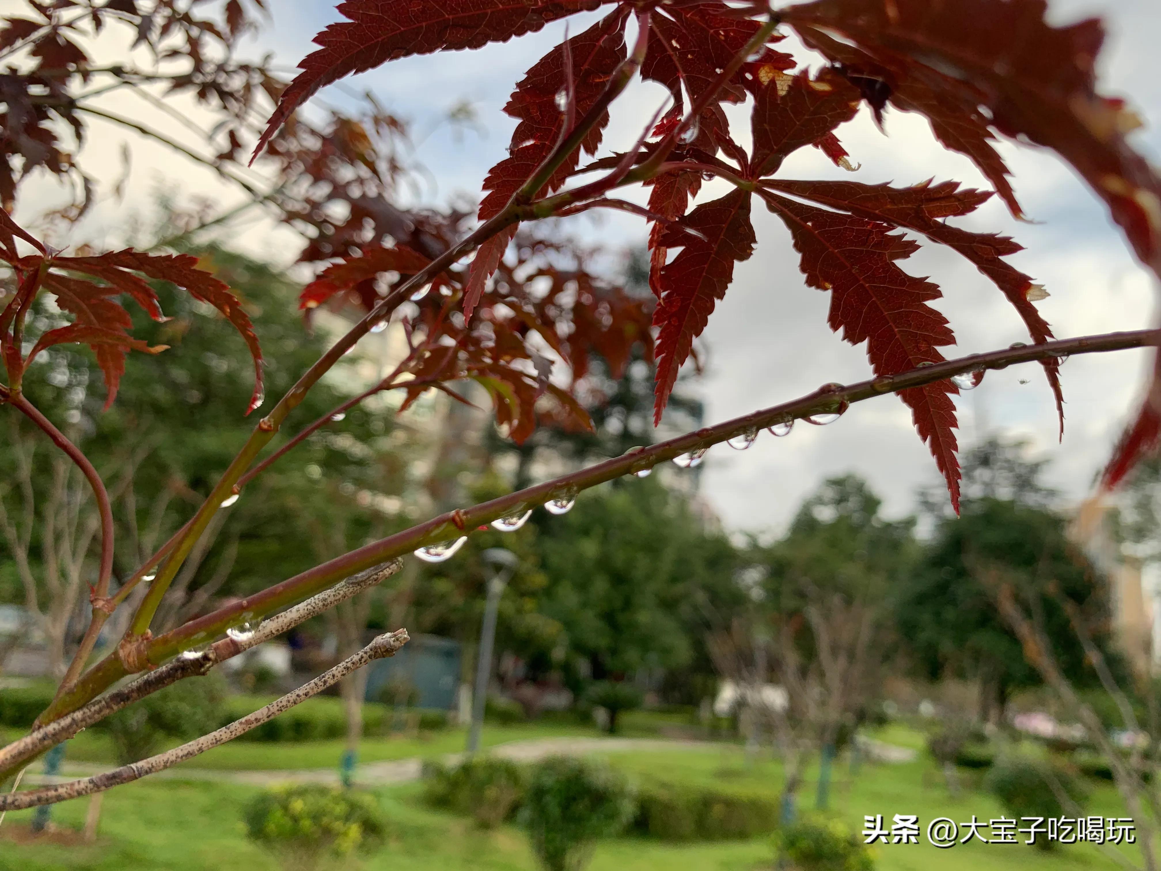 贵州幸福城,贵州惠水山水田园城