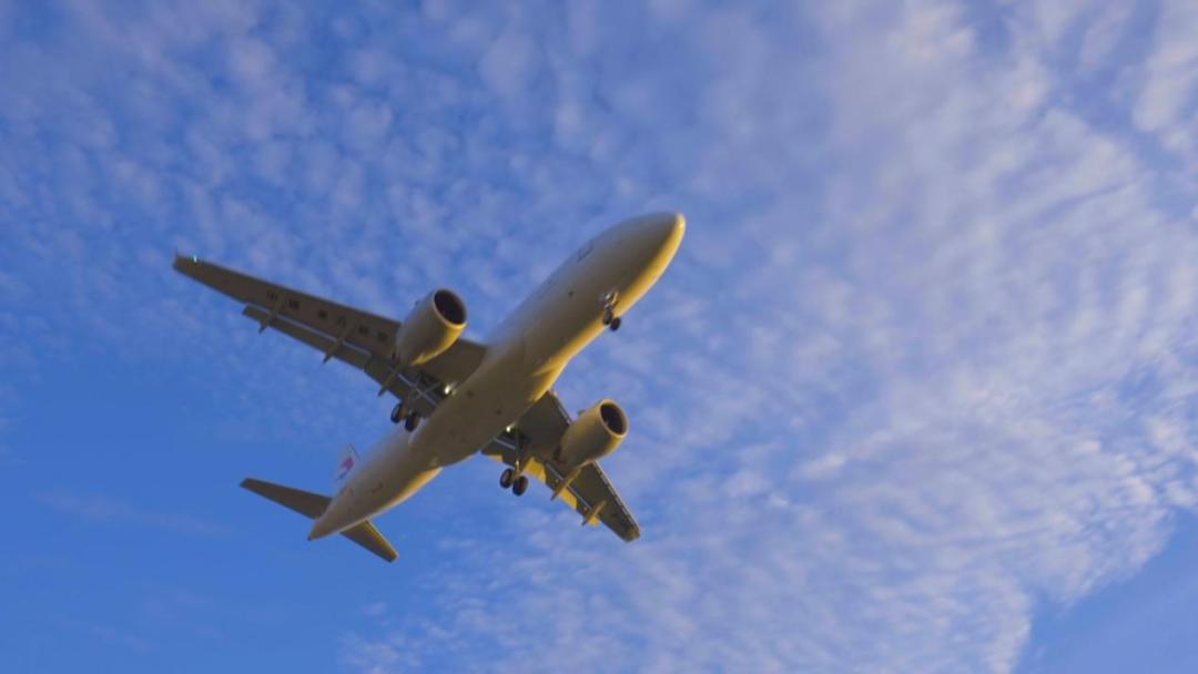 外贸增速达24.5%创10年,南京外贸逆势增长幕后探秘