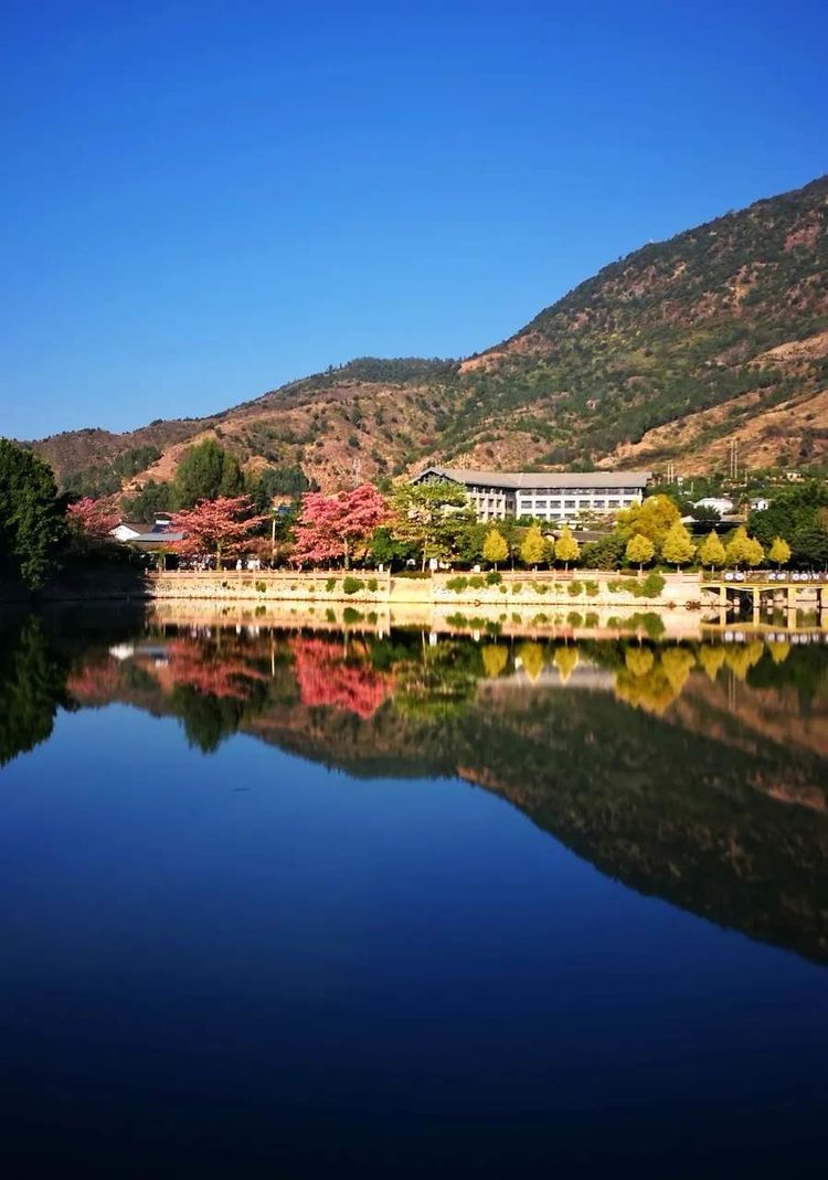 四川攀枝花城市风景,四川攀枝花城市介绍