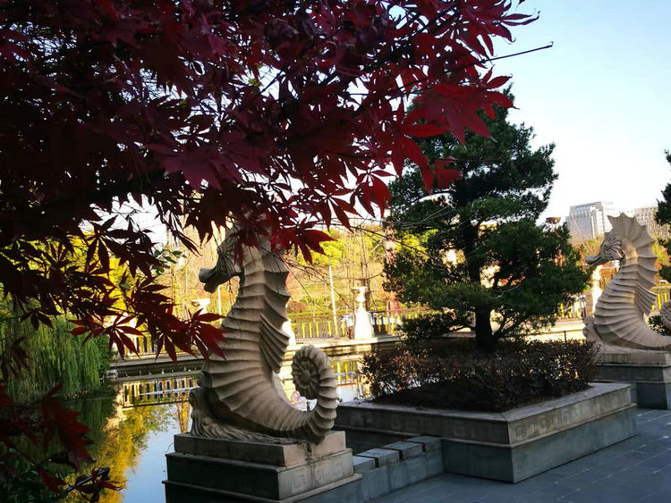 株洲市阳光新城,株洲魅力新城全景