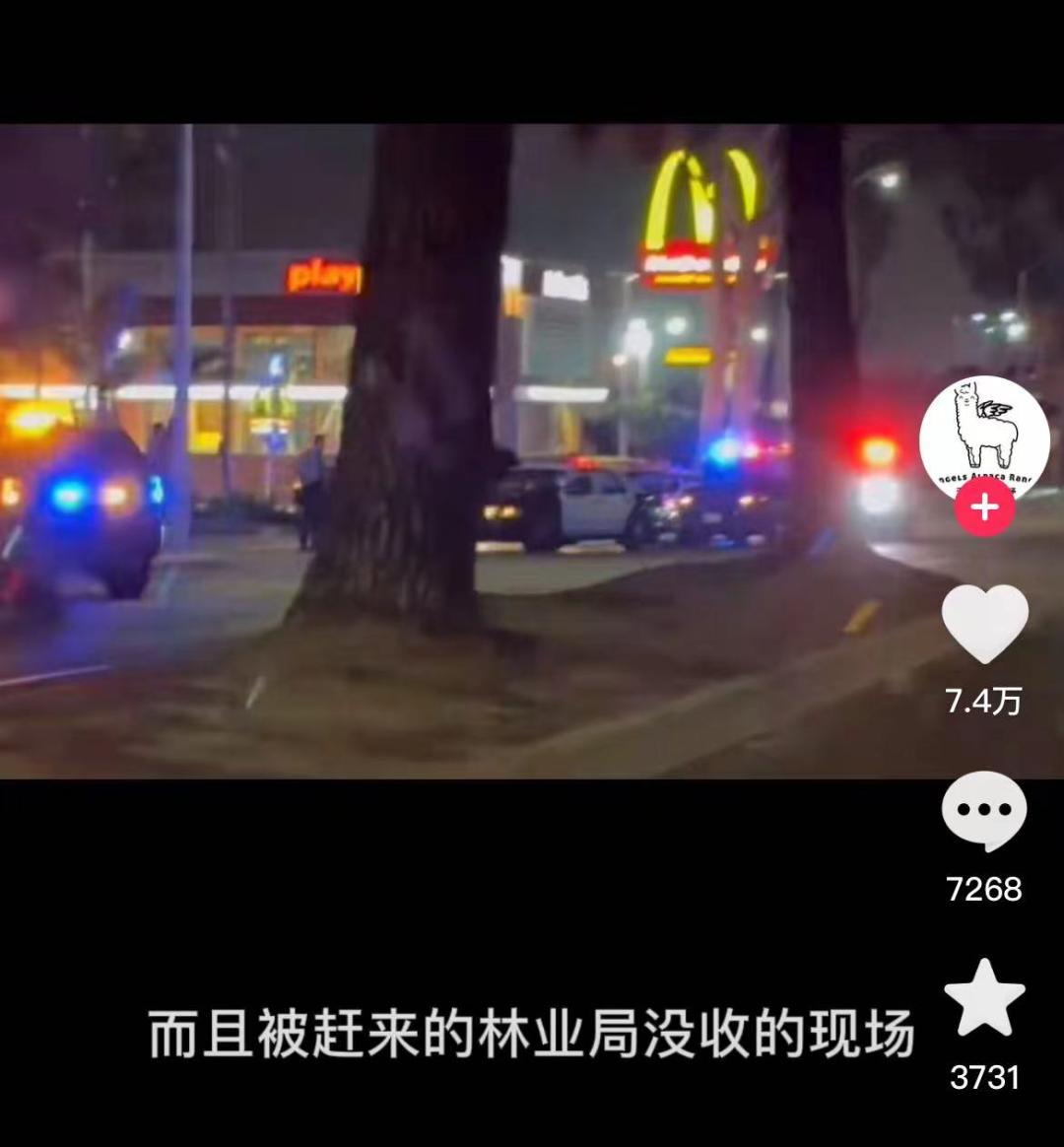 公知在美国没买到大闸蟹，于是就举报让大家都吃不上