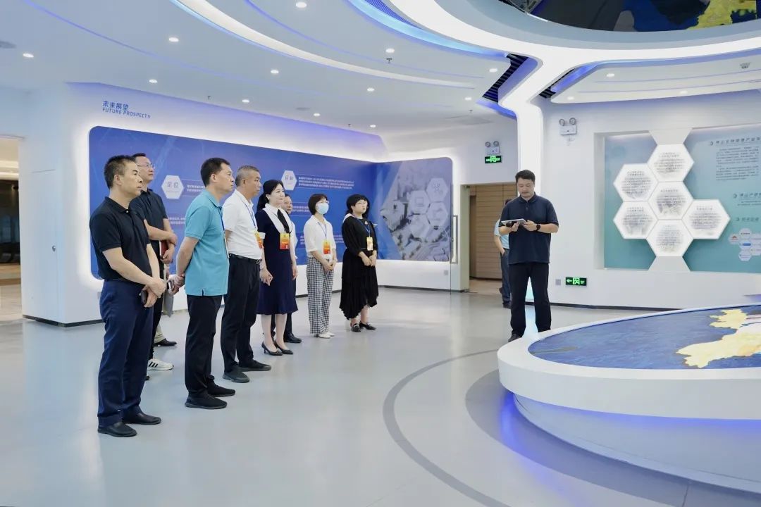 政协委员调研工作提案,政协委员关于县级经济发展提案