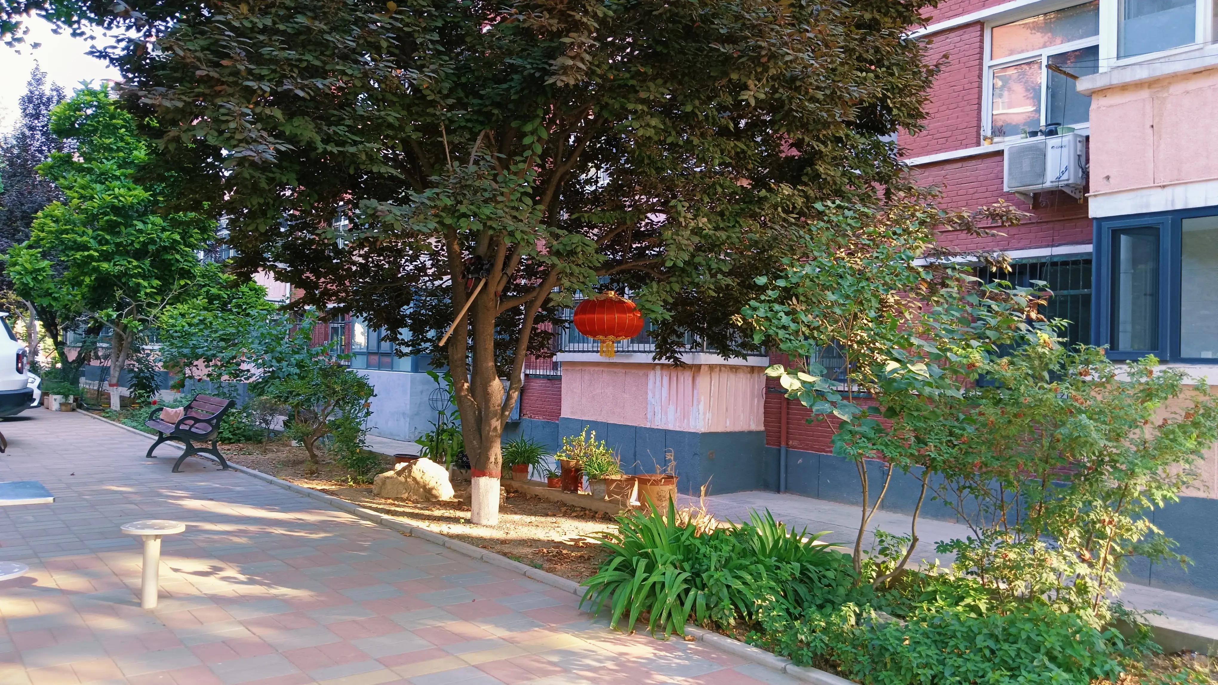 我56岁，退休后为爱离婚，每月2千工资，没钱没房，不知该如何过