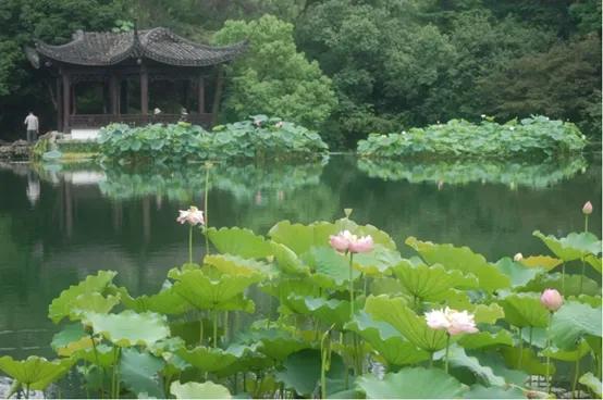 杭州好玩的地方和景点排行榜,杭州周边好玩的地方景点免费