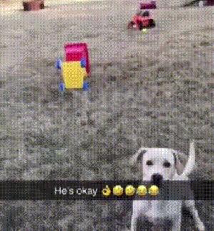 垃圾桶搞笑视频gif,搞笑gif段子塑料袋成精了