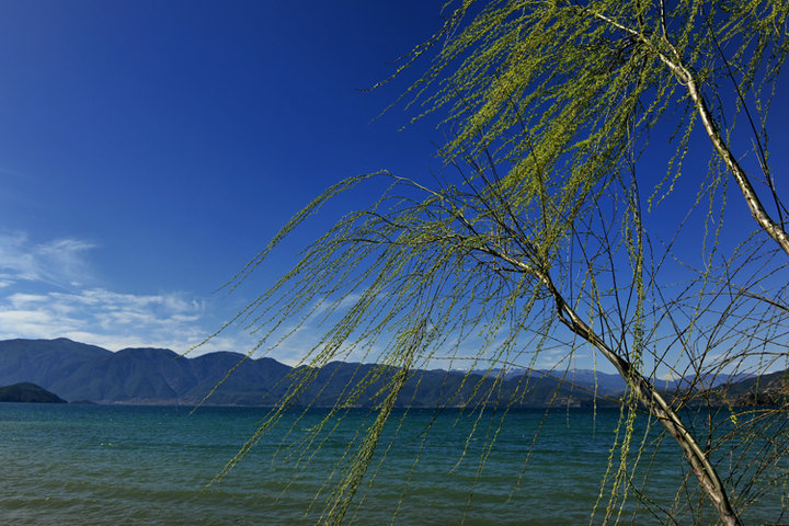 描写春风的诗句大全,关于春天春风的诗句古诗词