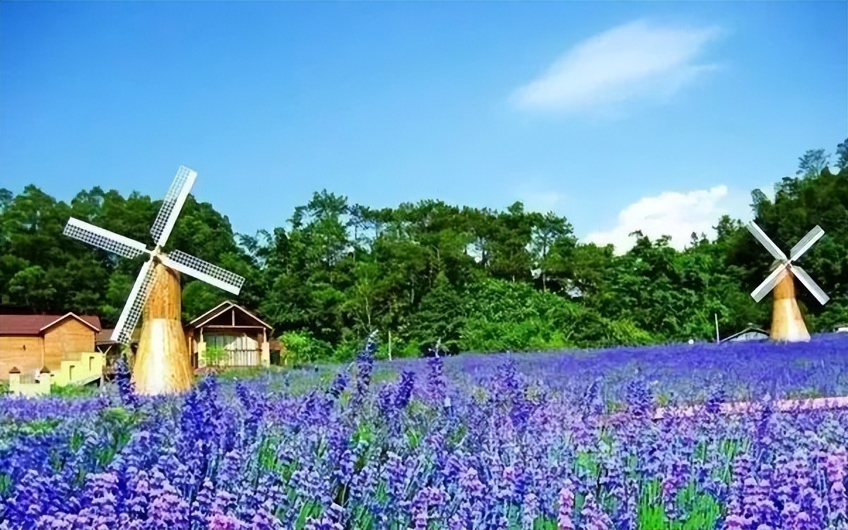 增城网红民宿别墅,增城最美花园亲子民宿
