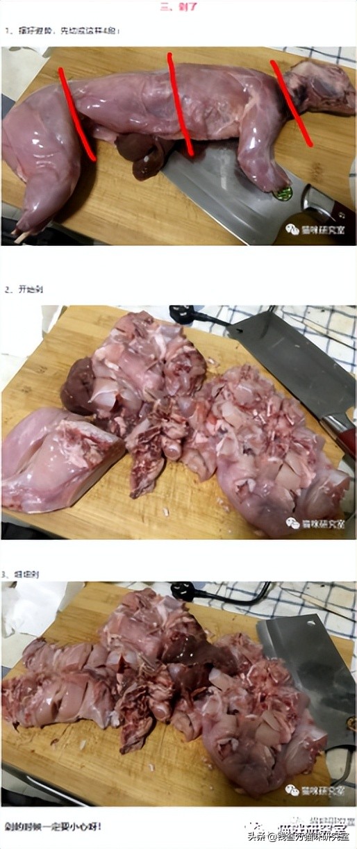 蓝氏荒野猎兔猫粮和乳鸽哪个好,蓝氏兔兔猫粮