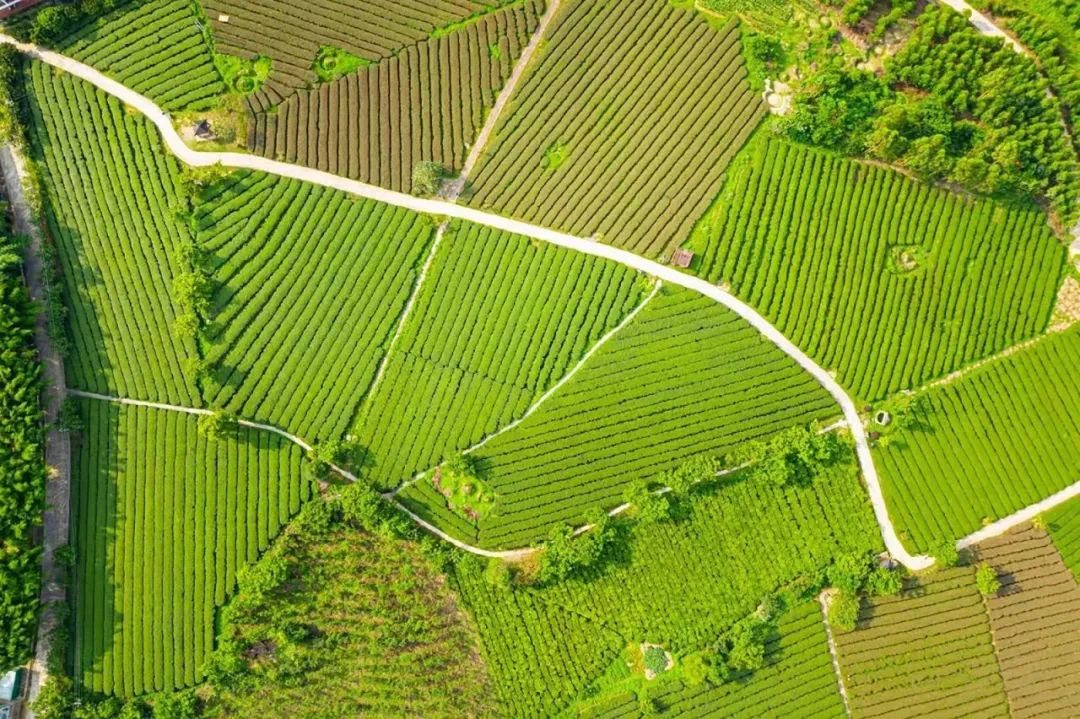 南宁徐霞客出游攻略,徐霞客在广西住了多少年