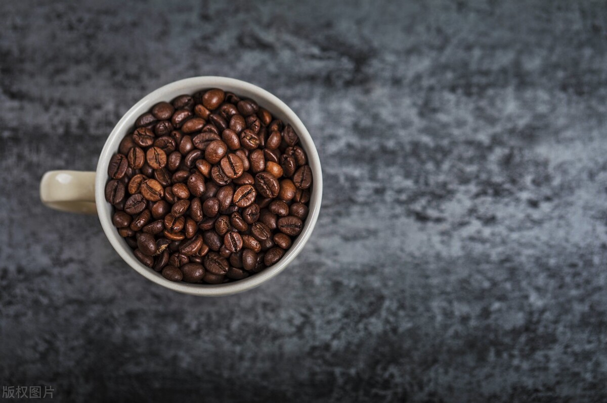 你喝的酒是真的吗,你喝的果酒是假的吗