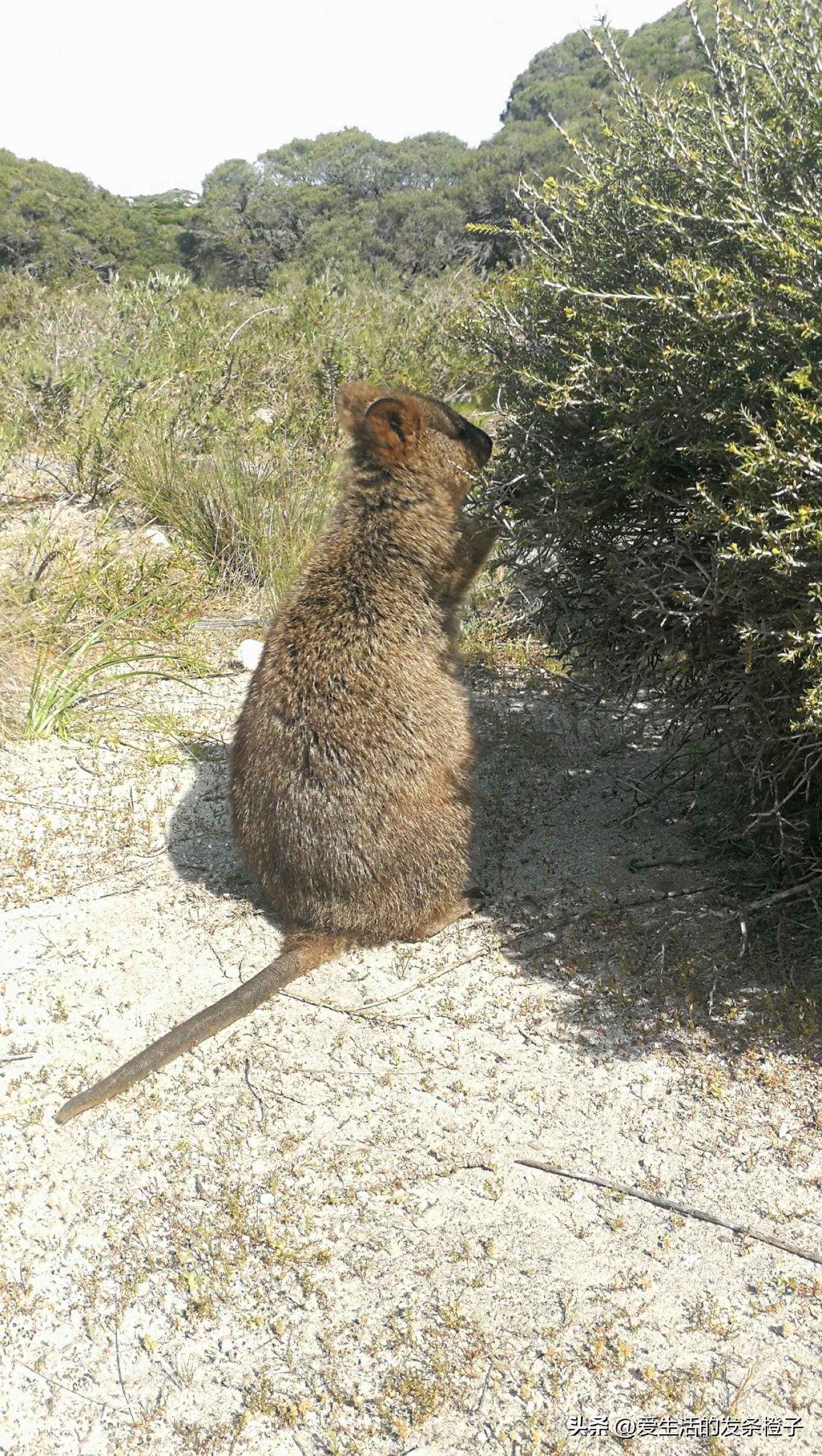 一路向北全程1980公里,西澳自驾游最佳路线图