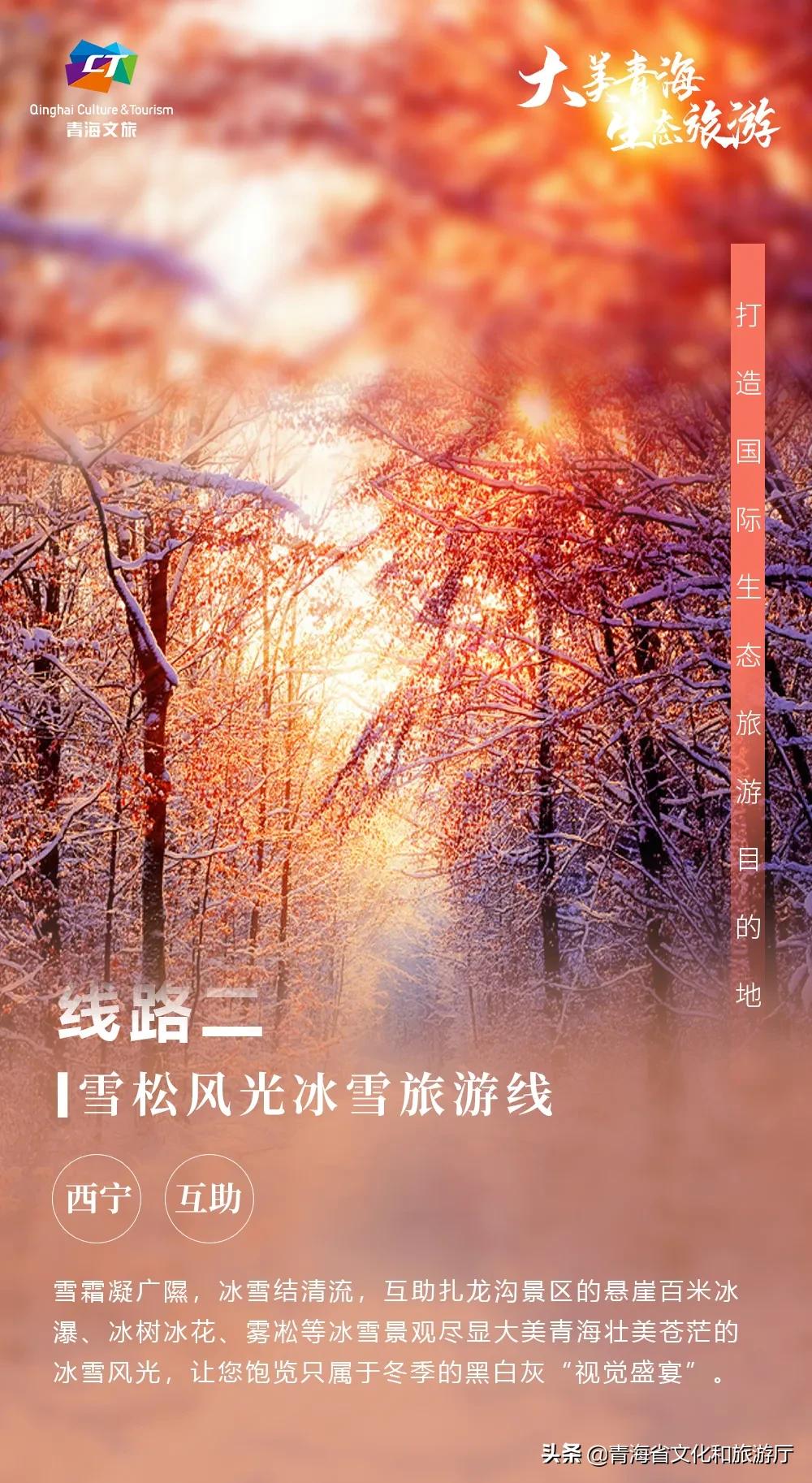 青海省明春文化旅游活动,新年游玩青海