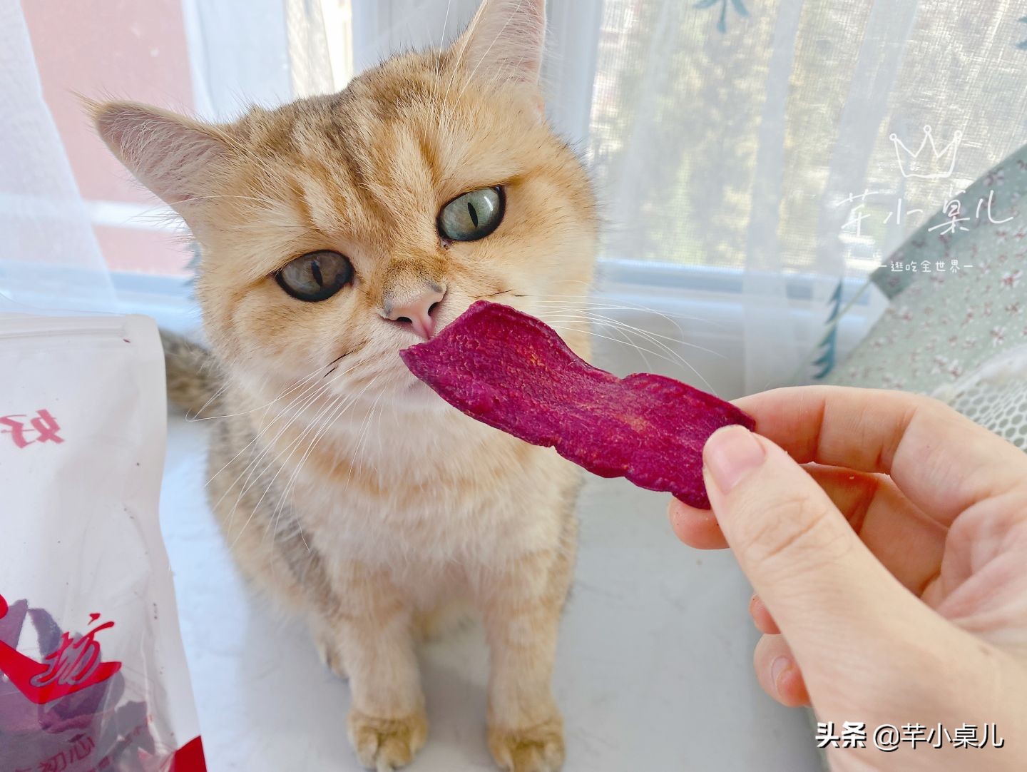 如果你迟早会走进一家红薯坊/地瓜坊，那这些事情需要你提前知道