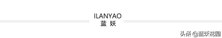 睡莲叶子发黄不开花怎么办,睡莲叶子发黄烂叶怎么办