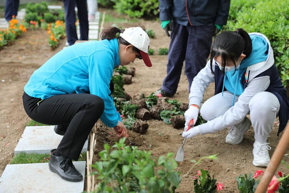 田园种植、家庭劳动……来看亦城学子的劳动生活~
