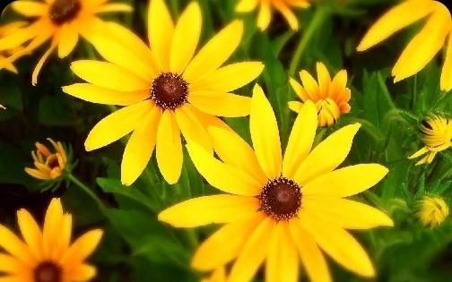 活着不要太当真人生感悟,人活着不要看得太透