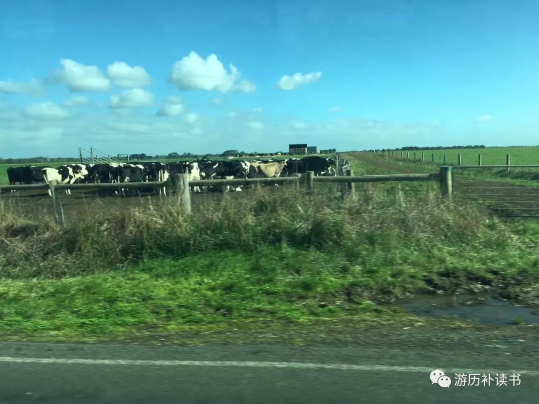 澳大利亚印象(代小结)——澳大利亚行记7