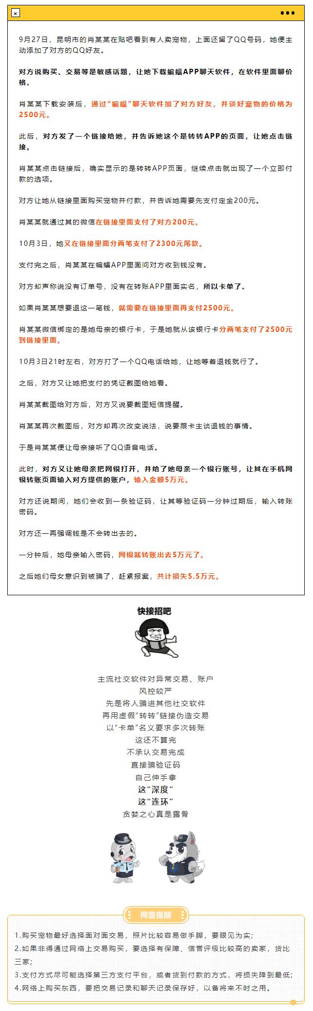 网上买宠物被萌化,网上买宠物当心受骗