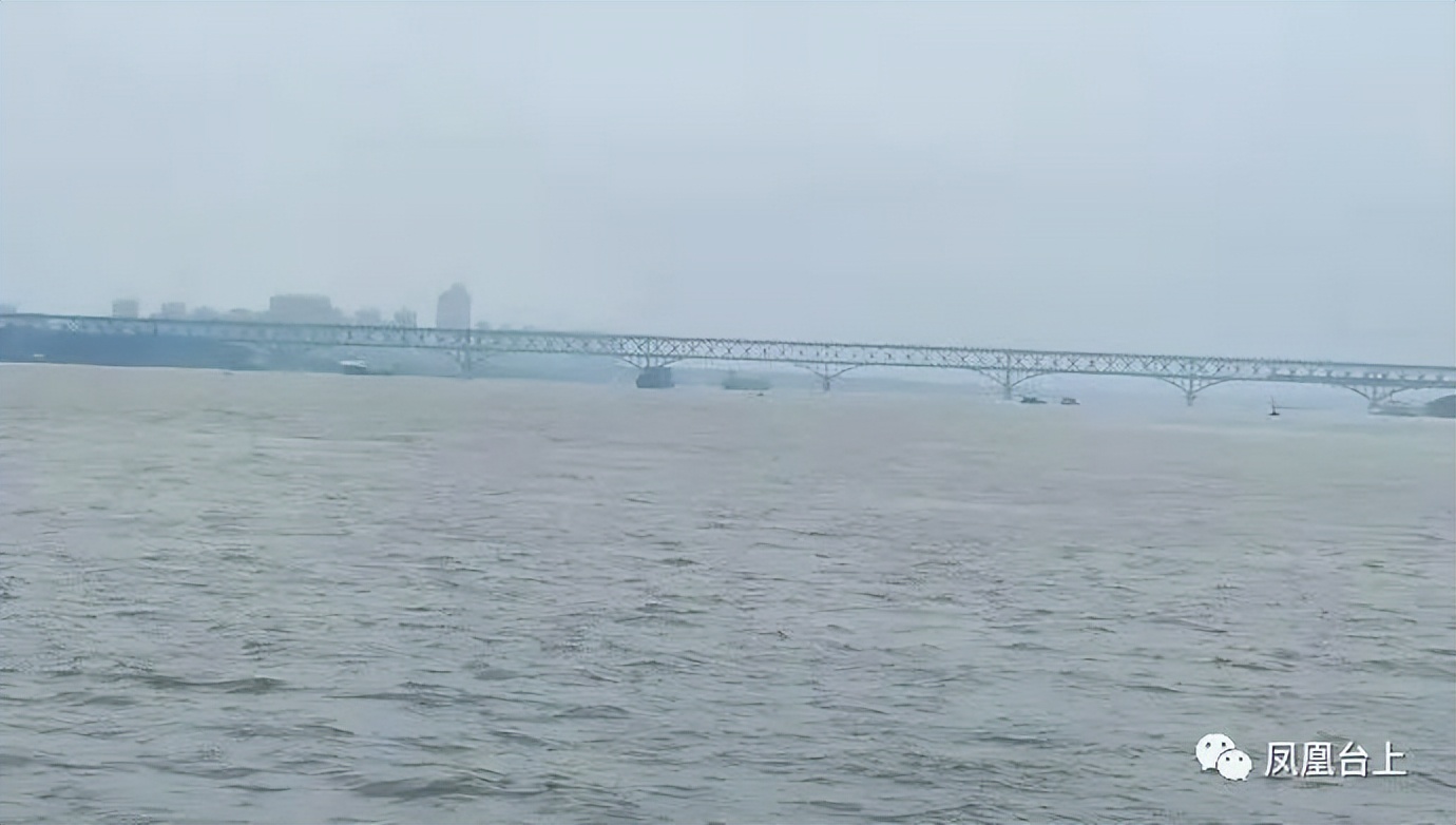 凤凰台上·忆旧｜为了完成除四害任务，中学生冒险过江捉老鼠