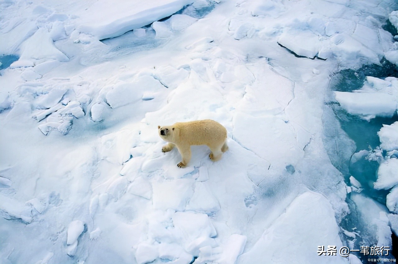 网友口中的这五个欧洲国家的谐称，个个都很精准，你不一定都知道