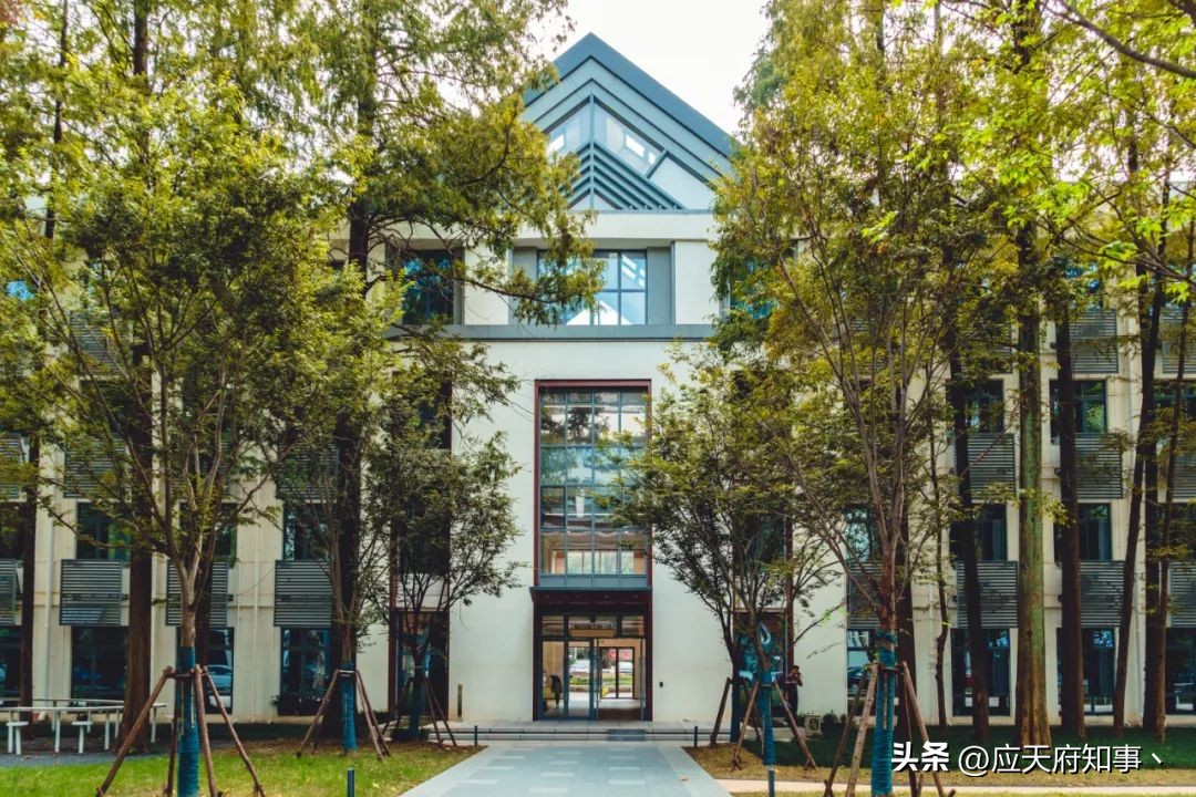 南京板仓街规划图,南京板仓街属于哪个区