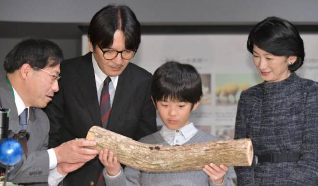 特朗普巴伦小时候,特朗普小儿子巴伦近照