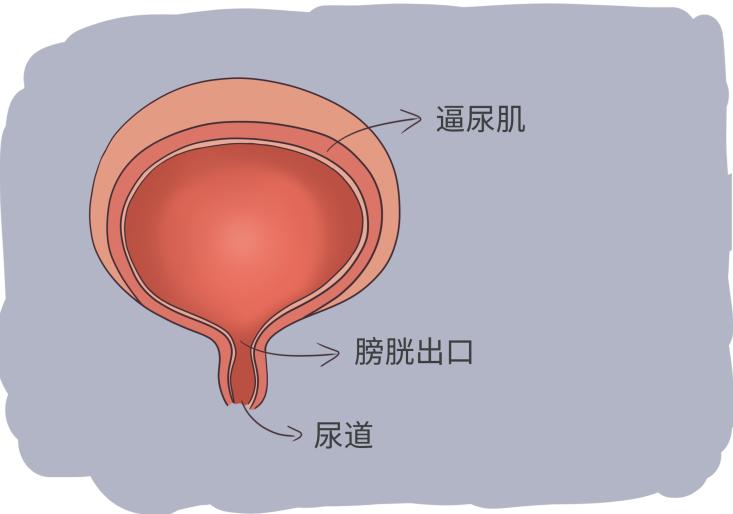 *生活性**时女性总控制不住“喊出来”是病吗？别害羞，男女都了解下
