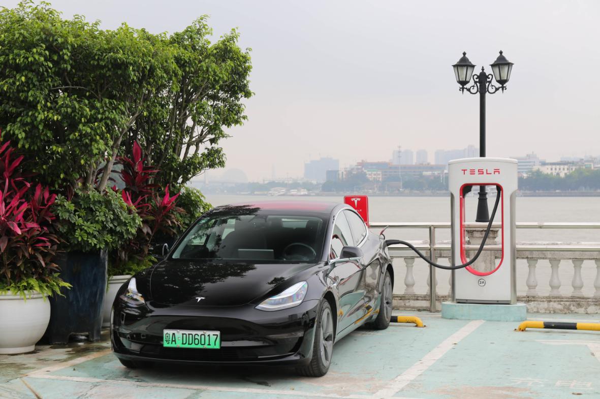 油电汽车排行榜4月 (油车和电车4月销量对比)