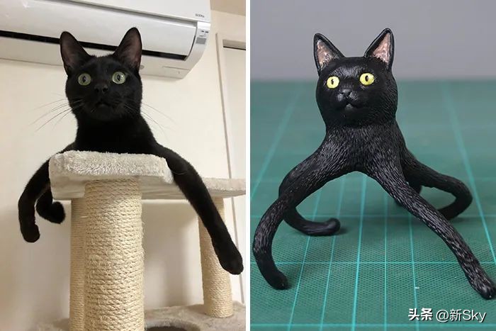 哈哈哈，这个神经手办又双叒更新了，笑惨我了