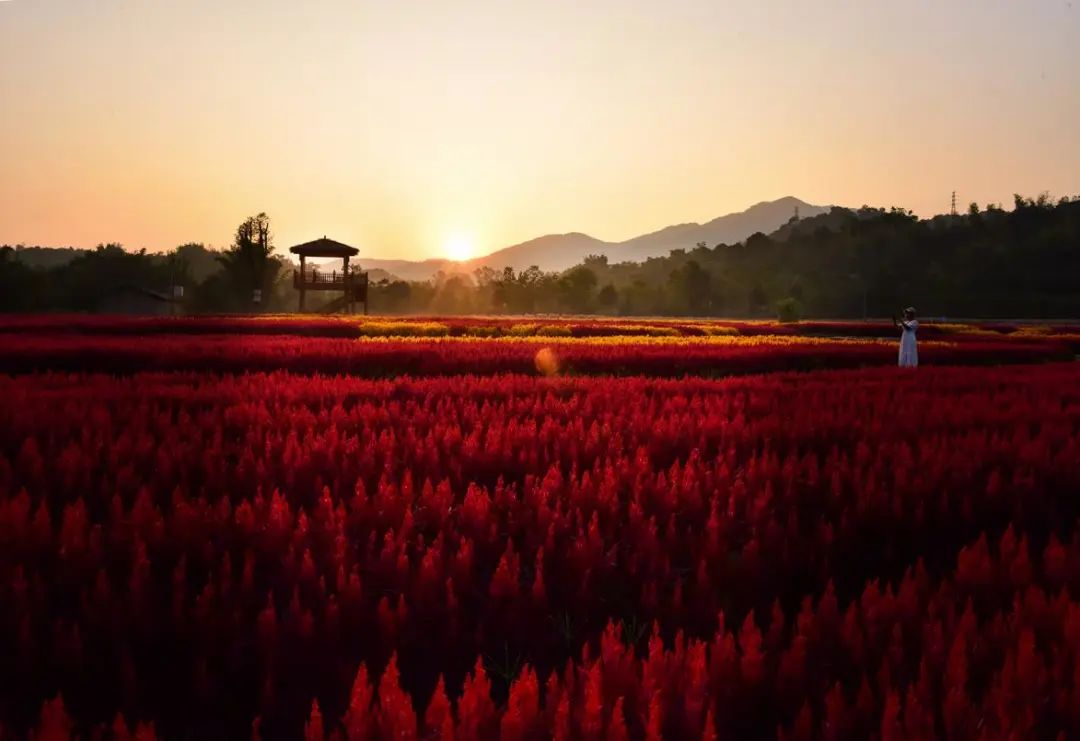 定格美好瞬间校园摄影大赛,2021年定格最美瞬间摄影大赛