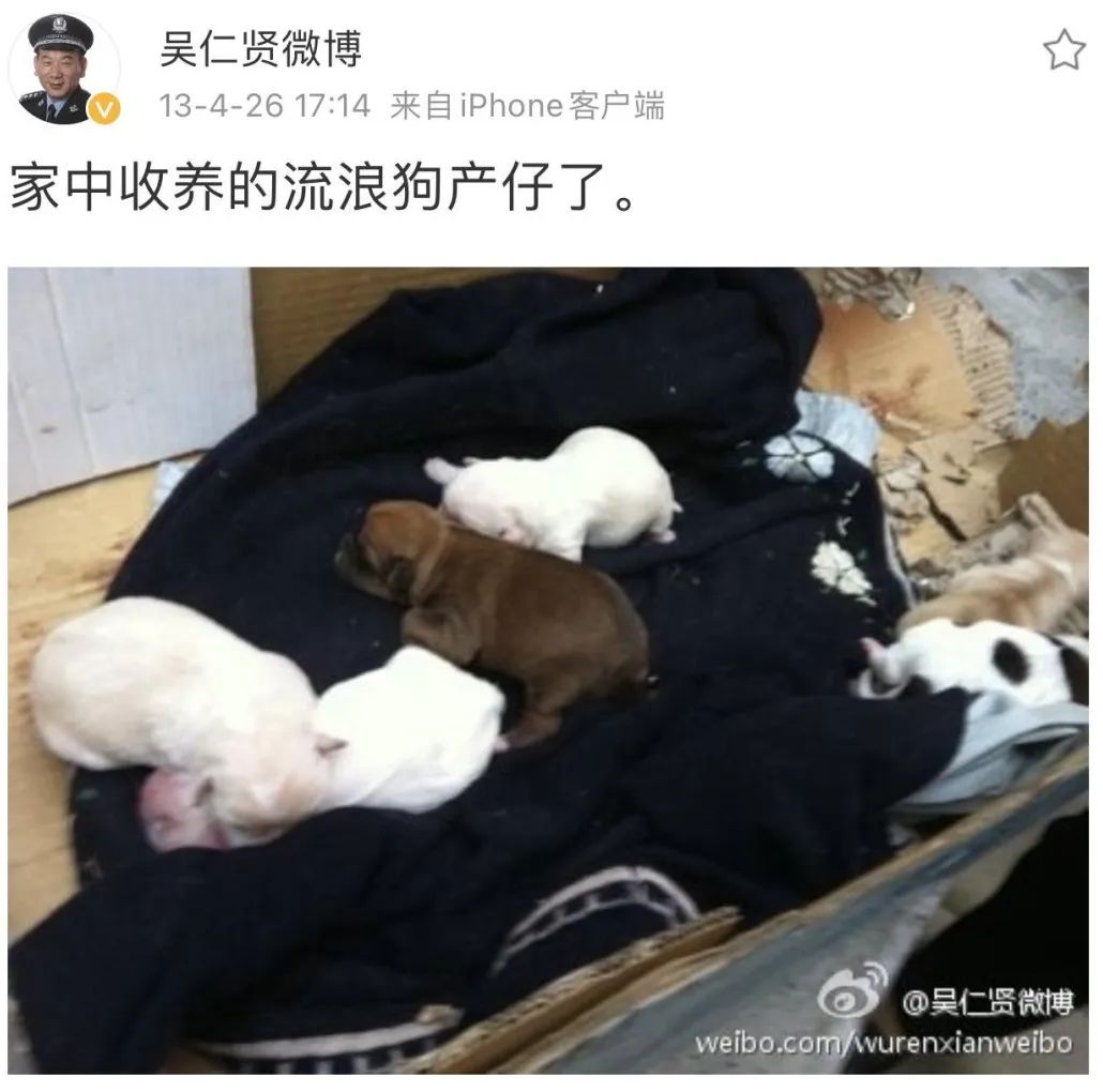 多幸运我有个我们,多幸运我还有我们