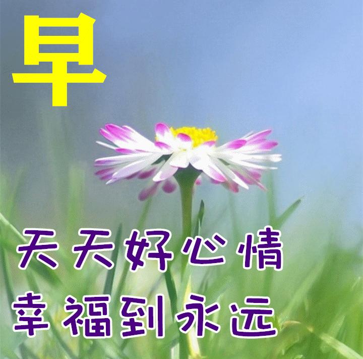 早安心语励志正能量短句2019,今天高考加油努力的句子