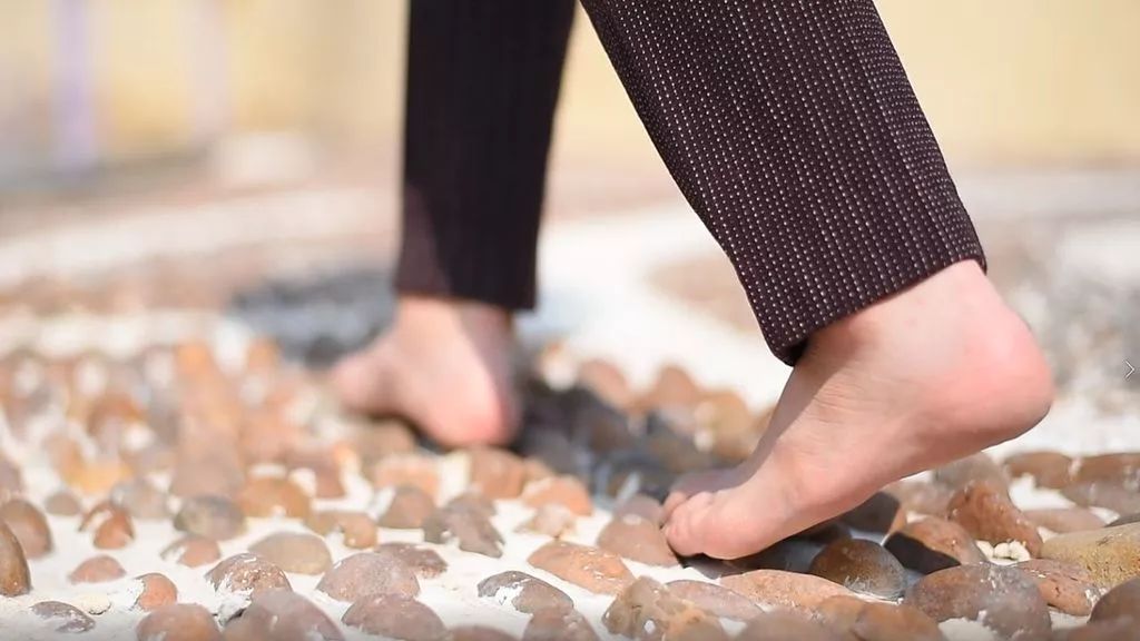 屋顶适合建设哪种绿色屋顶,绿色屋顶建筑