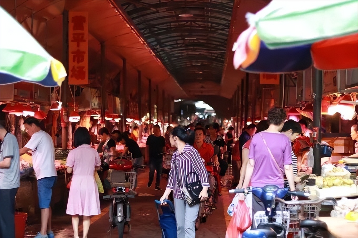厦门带孩子去哪里玩,厦门带女朋友去哪里玩