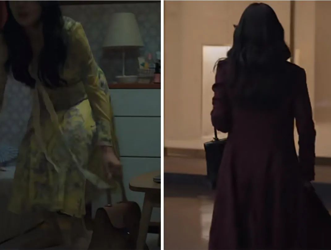 怎样分辨真安娜和假安娜,真假安娜韩剧在哪看