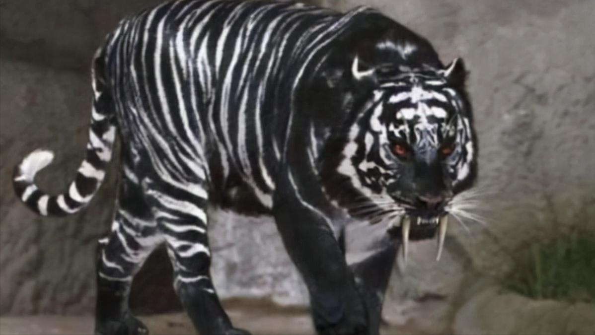 全球十大罕见黑色神兽,最昂贵的十大黑动物