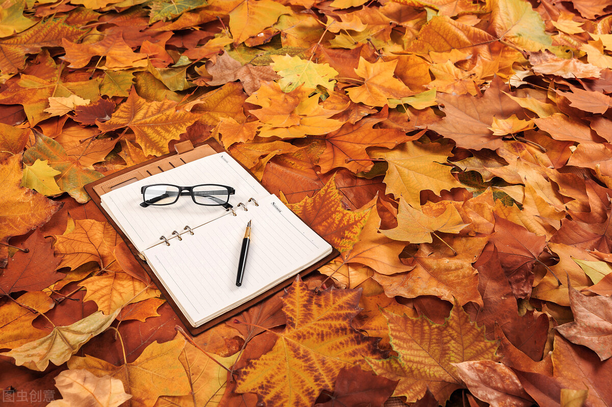 如何构思一篇600字的作文,怎么拟作文题目才吸引人