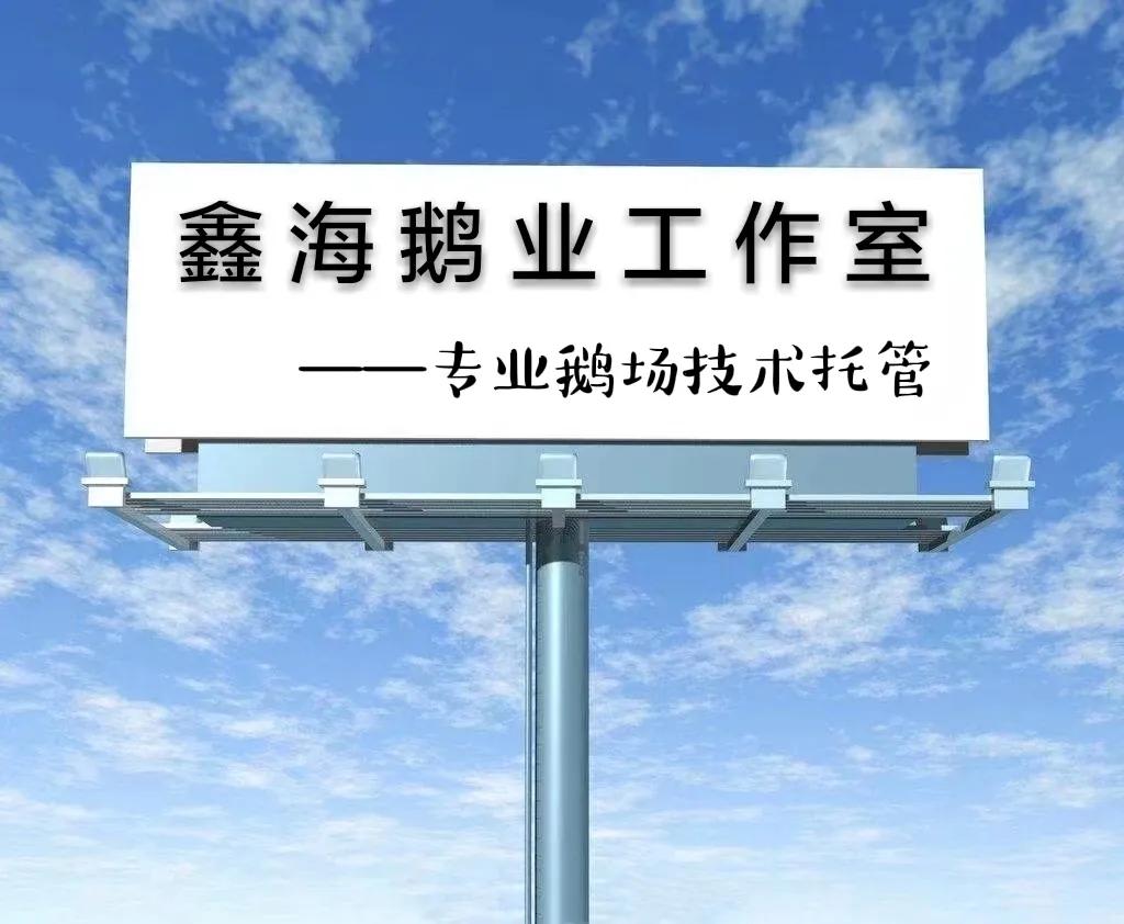 林下种草养鹅的实用技术,林下养鹅技术注意事项