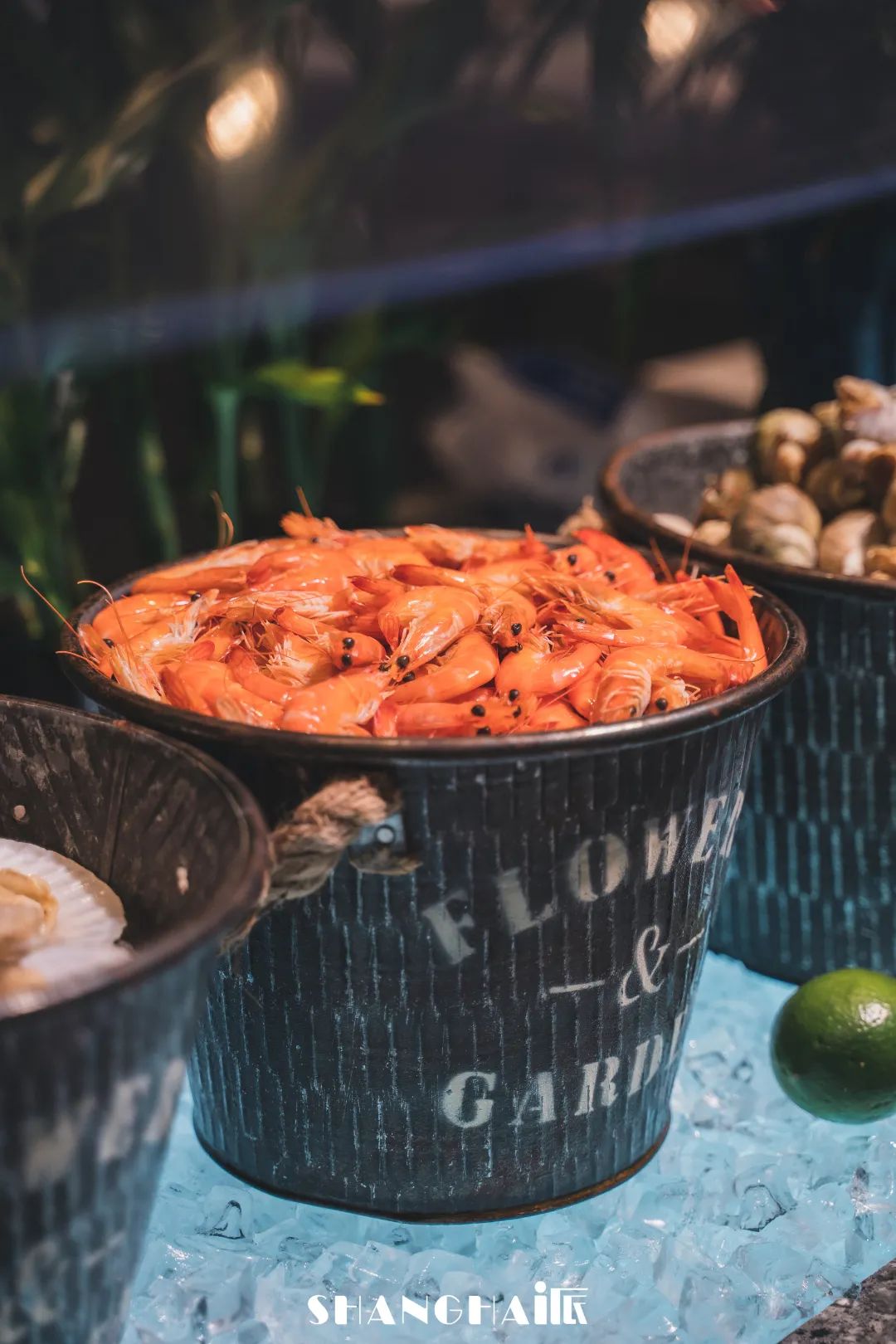 上海五角场凯悦酒店自助早餐,上海五角场凯悦酒店订餐