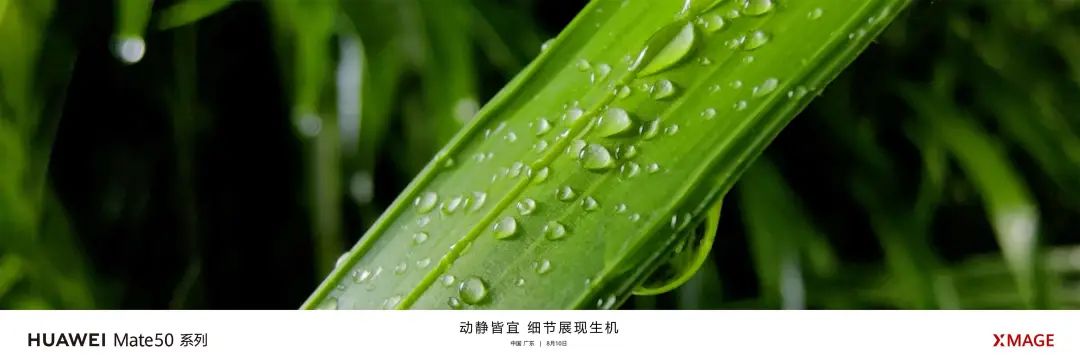 华为mate50发布会有大招吗,华为mate50发布会信息总结