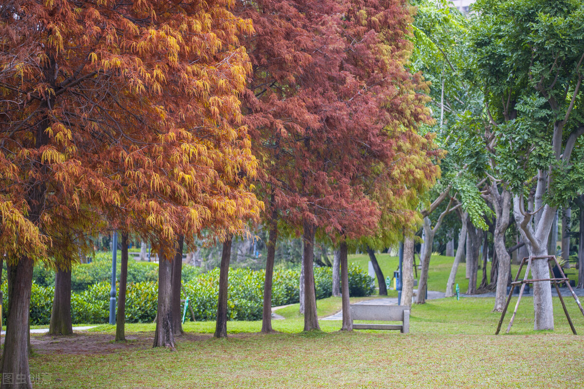 厦门旅游攻略必逛景点推荐,厦门攻略必逛景点一日游