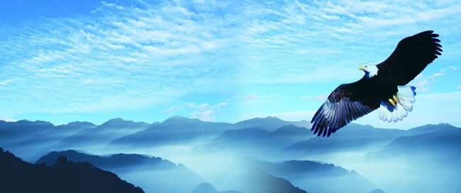 如何塑造企业文化举例说明,企业如何塑造企业文化