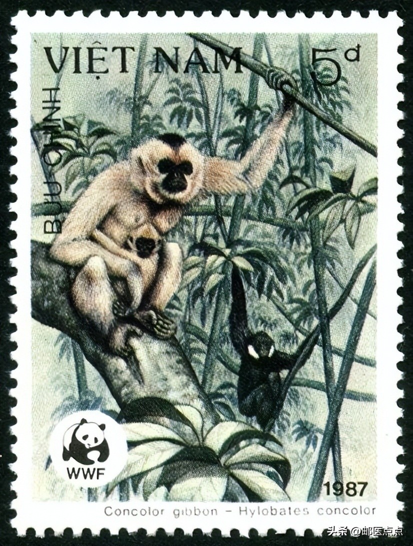 全球保护濒危动物邮票,十二种濒危物种邮票