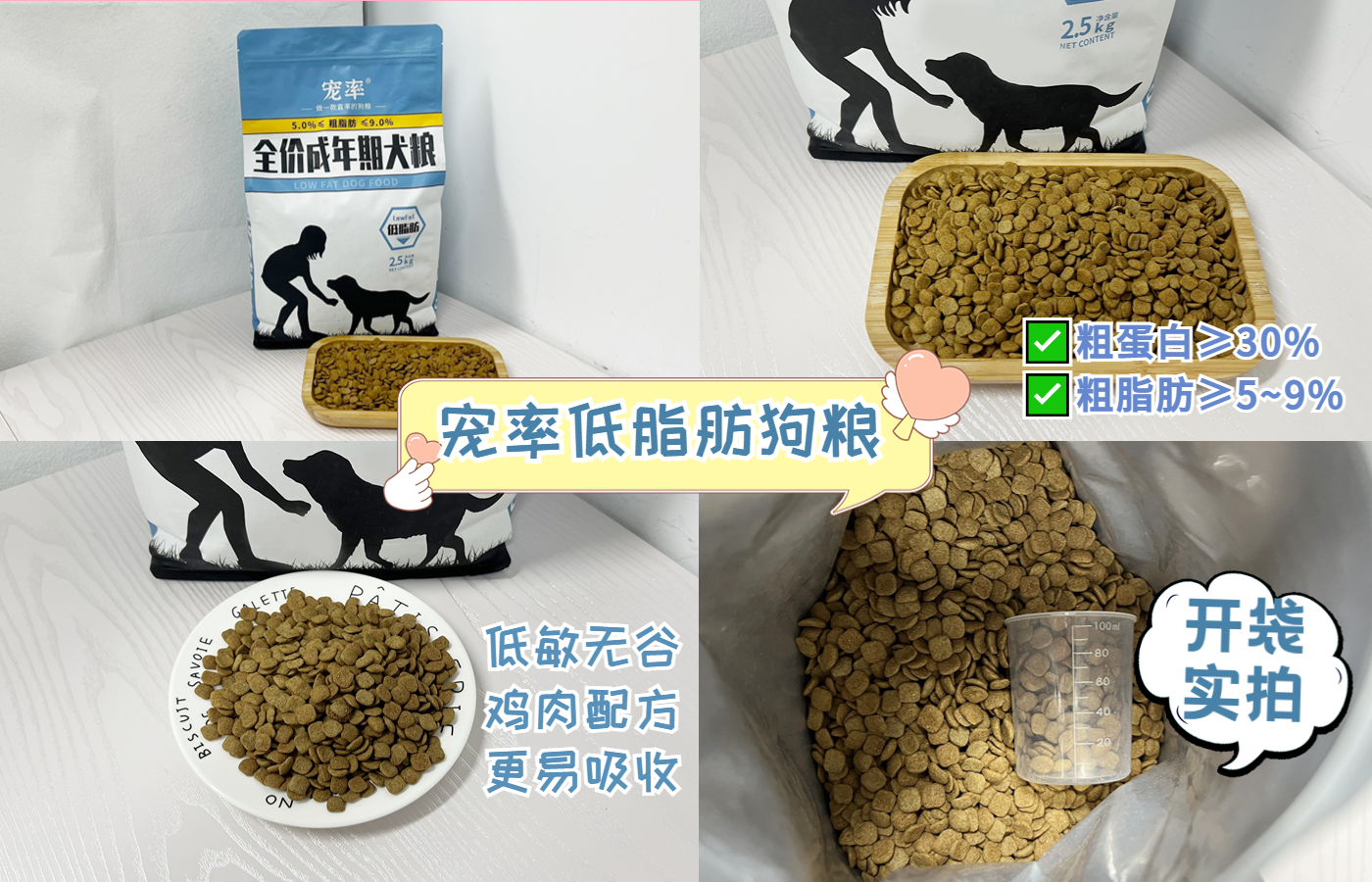 柴犬十大禁忌人群,日本柴犬十大禁忌