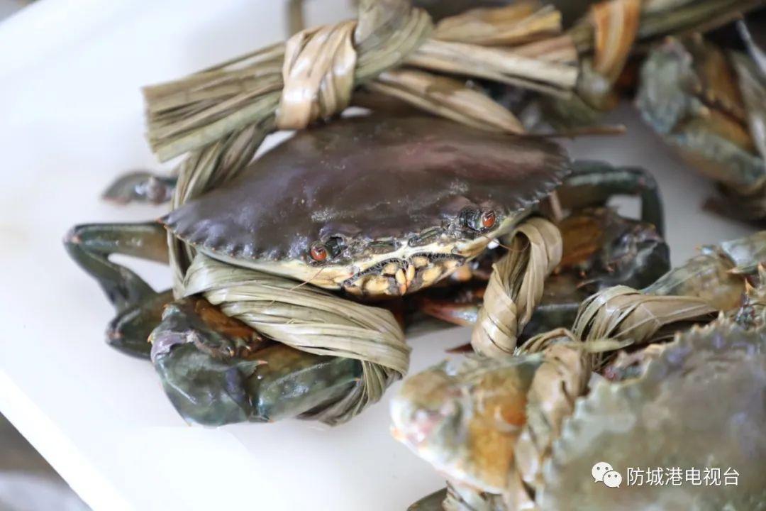 开海了一大波肥美海鲜上岸,开海去哪买海鲜