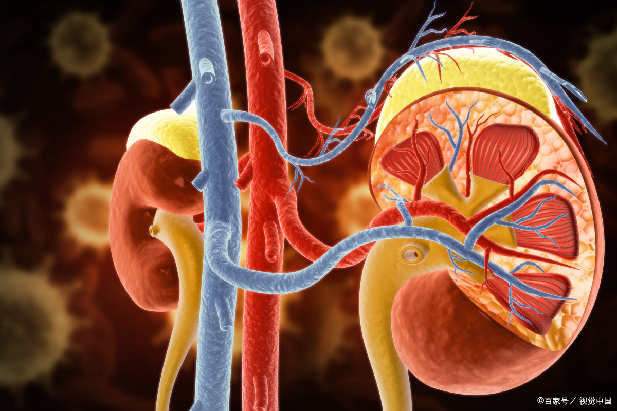 肝肾不足型颈椎病怎么治疗,肝肾不足颈椎病的中医治疗