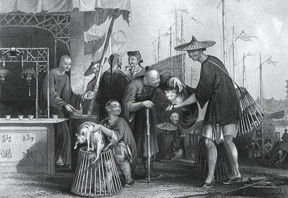 康乾盛世马戛尔尼,马戛尔尼笔下的康乾盛世