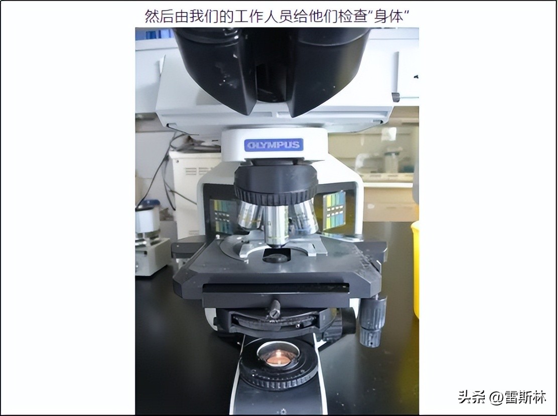 大城市挣得多花的也多,大城市赚钱比较容易