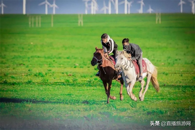 诗与远方内蒙古,诗与远方途乐